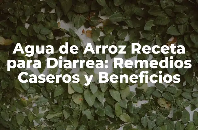 Agua de Arroz Receta para Diarrea: Remedios Caseros y Beneficios