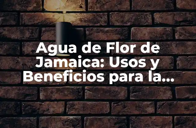 Agua de Flor de Jamaica: Usos y Beneficios para la Salud 2 ¿Qué es la Flor de Jamaica?
