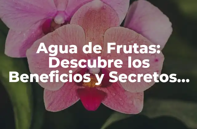 Agua de Frutas: Descubre los Beneficios y Secretos de Este Delicioso Bebida