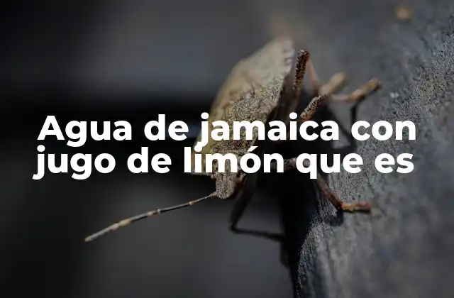 Agua de Jamaica con Jugo de Limón que es