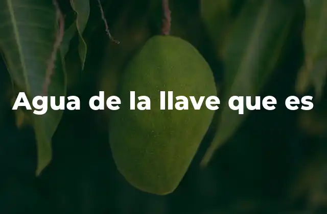 Agua de la Llave que es