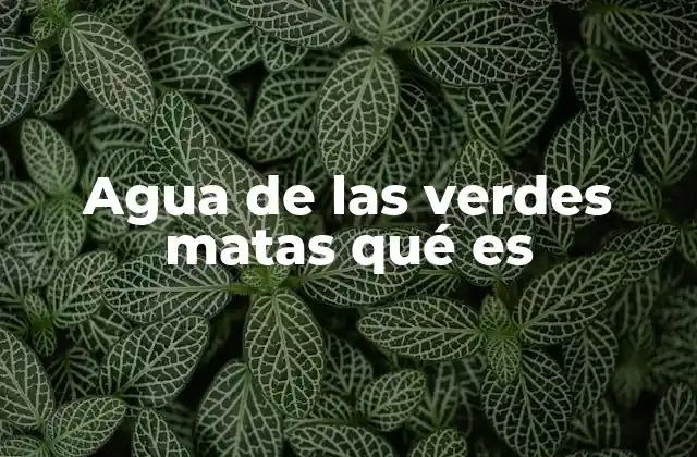 Agua de las Verdes Matas Qué es