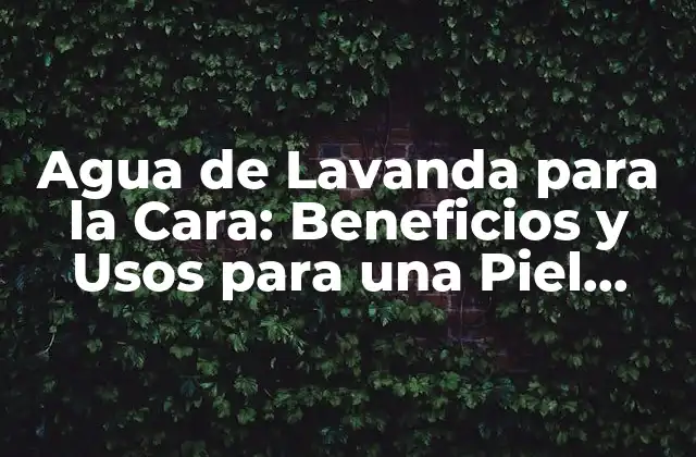 Agua de Lavanda para la Cara: Beneficios y Usos para una Piel Saludable