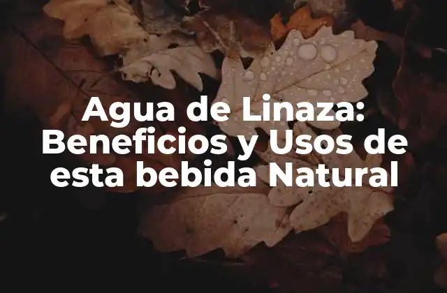 Agua de Linaza: Beneficios y Usos de Esta Bebida Natural