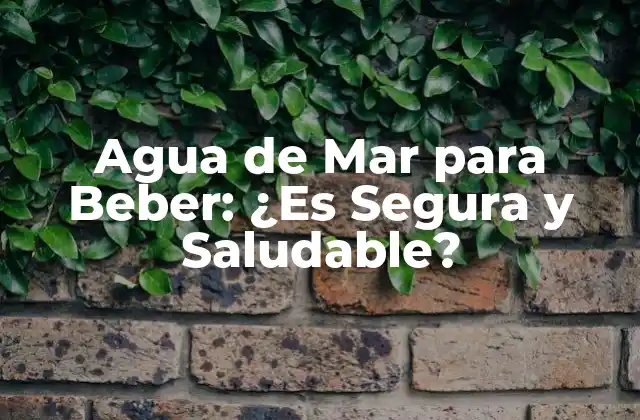 Agua de Mar para Beber: ¿es Segura y Saludable? 2 ¿Qué es el Agua de Mar?