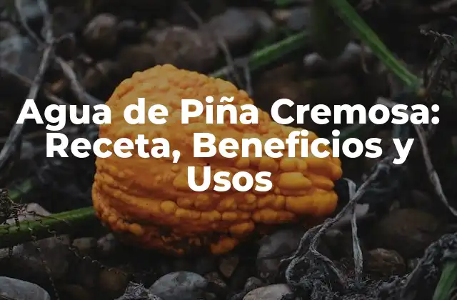 Agua de Piña Cremosa: Receta, Beneficios y Usos