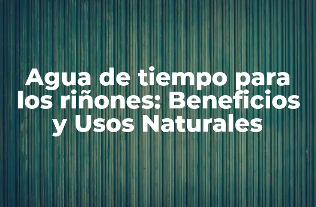 Agua de Tiempo para los Riñones: Beneficios y Usos Naturales