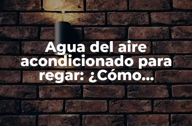 Agua Del Aire Acondicionado para Regar: ¿cómo Aprovechar Este Recurso?
