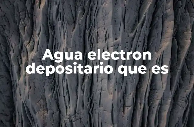 Agua Electron Depositario que es