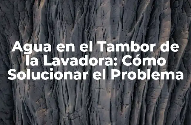 Causas del Agua en el Tambor de la Lavadora