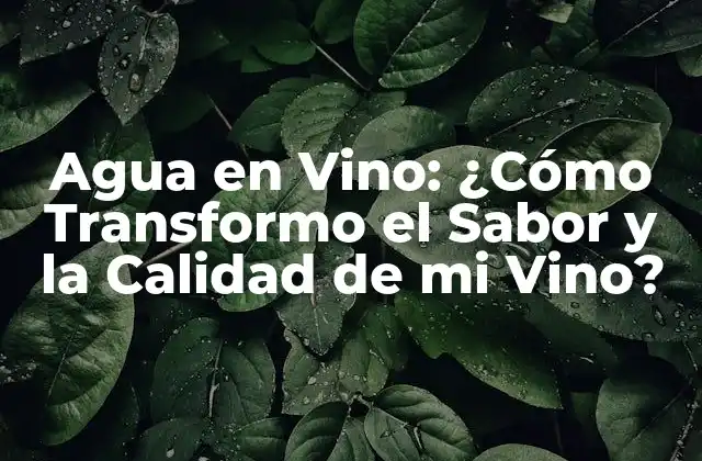 Agua en Vino: ¿cómo Transformo el Sabor y la Calidad de Mi Vino?