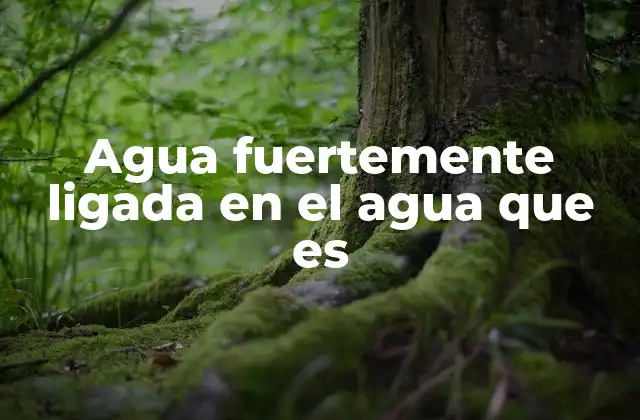 Agua Fuertemente Ligada en el Agua que es