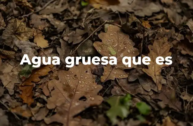 Agua Gruesa que es
