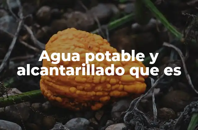 Agua Potable y Alcantarillado que es