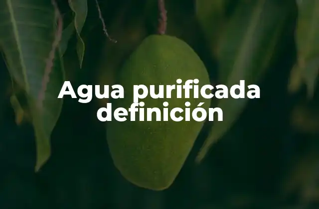 Agua Purificada Definición