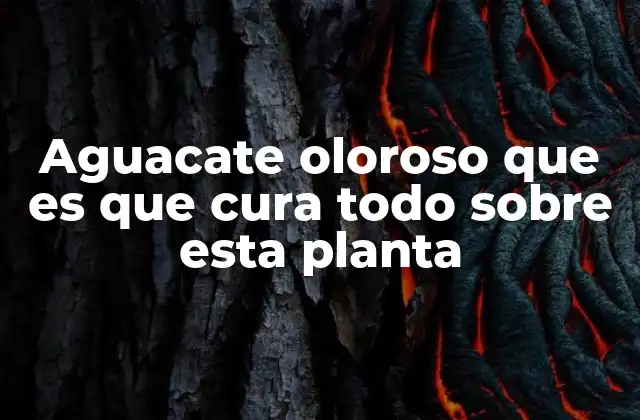 Aguacate Oloroso que es que Cura Todo sobre Esta Planta
