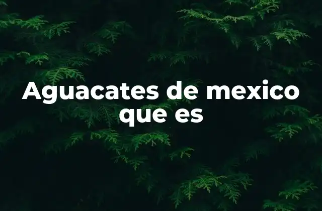 Aguacates de Mexico que es