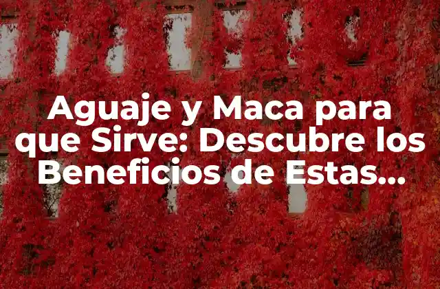 Aguaje y Maca para que Sirve: Descubre los Beneficios de Estas Plantas Andinas