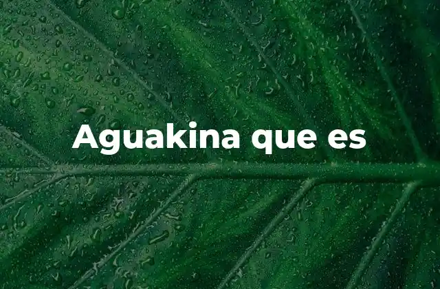 Aguakina que es