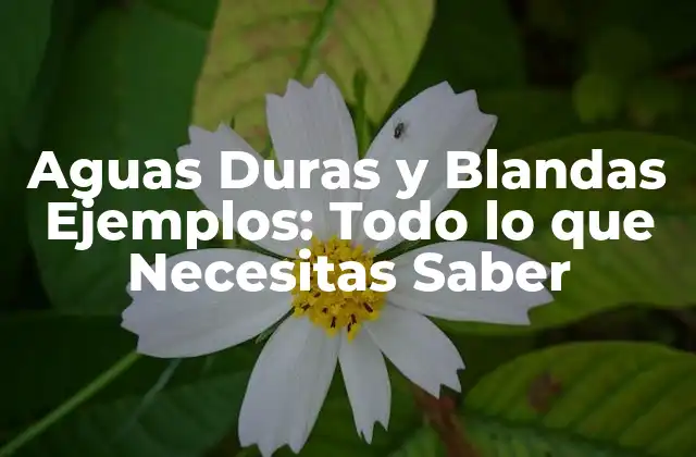 Aguas Duras y Blandas Ejemplos: Todo Lo que Necesitas Saber