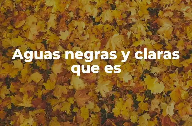 Aguas Negras y Claras que es