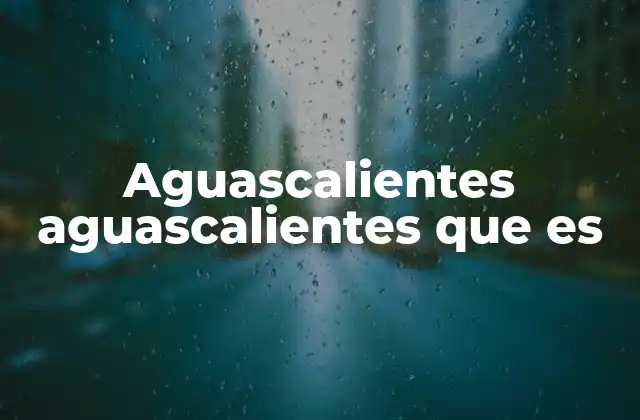 Aguascalientes Aguascalientes que es