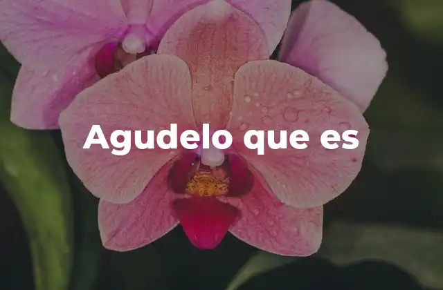 El lenguaje coloquial y las frases no convencionales