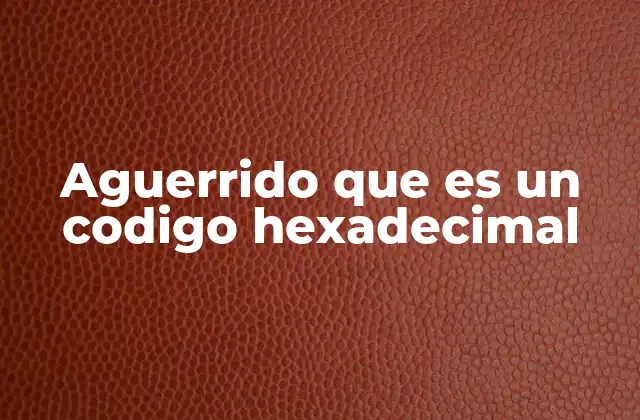 Aguerrido que es un Codigo Hexadecimal