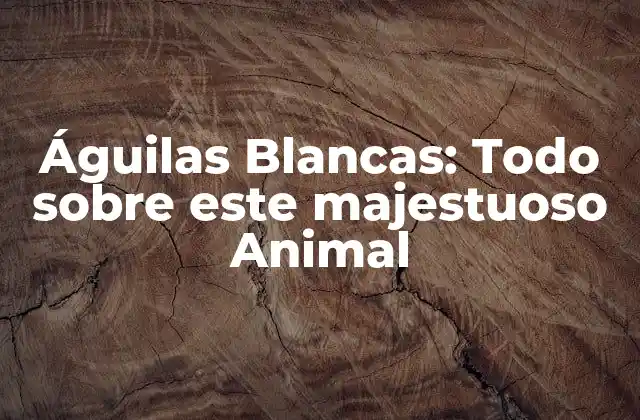 Águilas Blancas: Todo sobre Este Majestuoso Animal