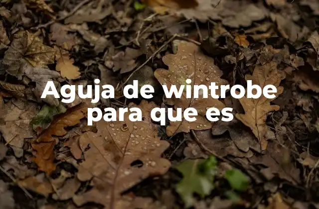Aguja de Wintrobe para que es
