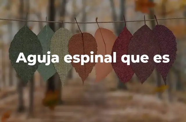 Aguja Espinal que es