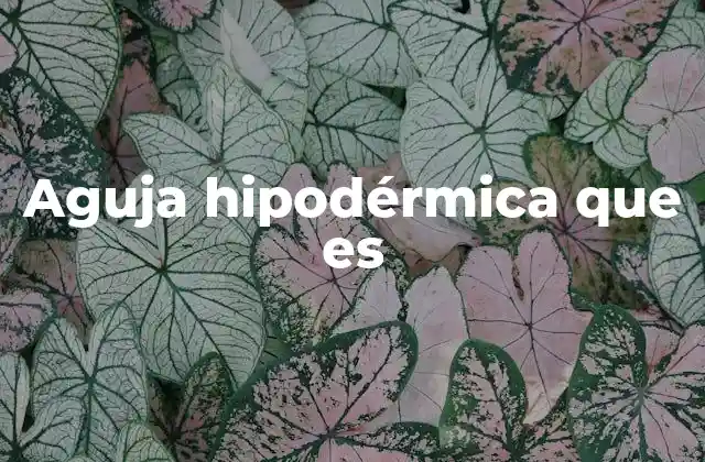 Aguja Hipodérmica que es