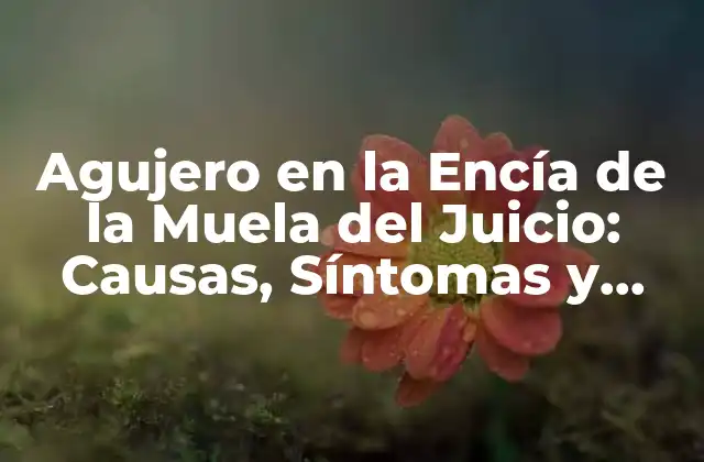 Agujero en la Encía de la Muela Del Juicio: Causas, Síntomas y Tratamiento