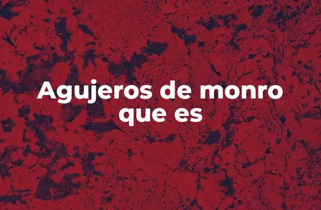 Agujeros de Monro que es