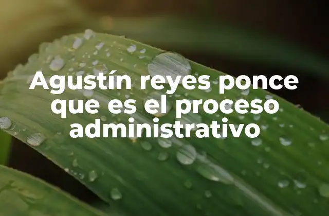 Agustín Reyes Ponce que es el Proceso Administrativo