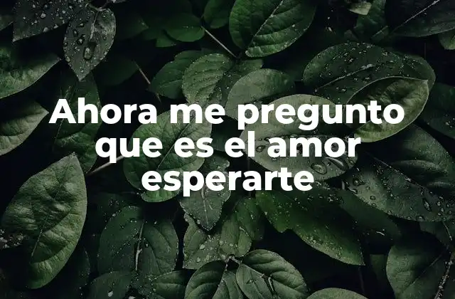 Ahora Me Pregunto que es el Amor Esperarte