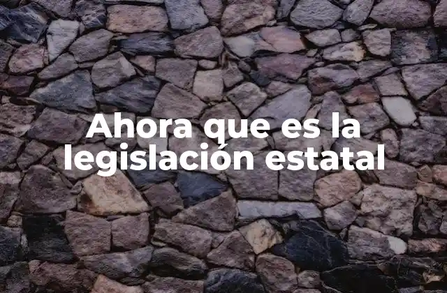 Ahora que es la Legislación Estatal