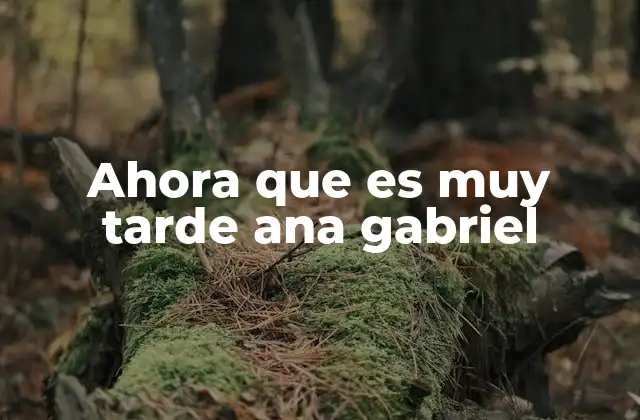 Ahora que es Muy Tarde Ana Gabriel