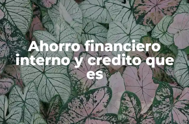 Ahorro Financiero Interno y Credito que es