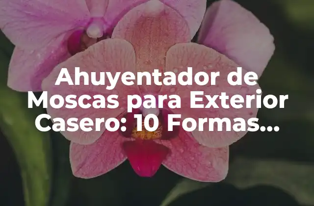 Ahuyentador de Moscas para Exterior Casero: 10 Formas Naturales de Mantenerlas Alejadas