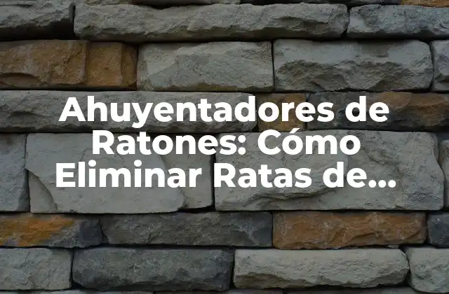 Ahuyentadores de Ratones: Cómo Eliminar Ratas de Forma Segura y Efectiva
