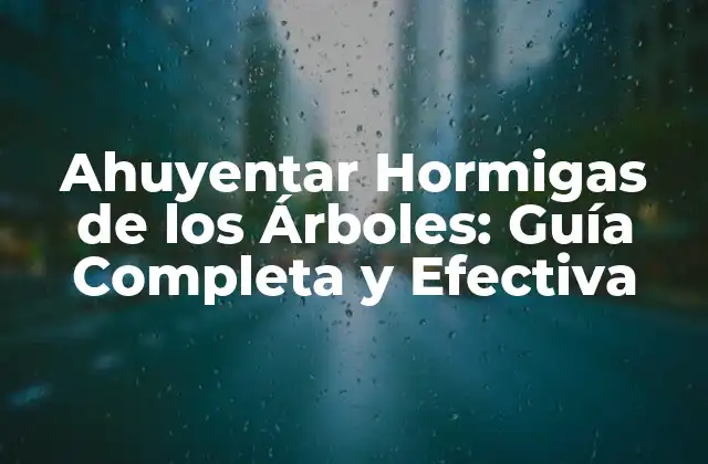 ¿Por qué las Hormigas se Acercan a los Árboles?
