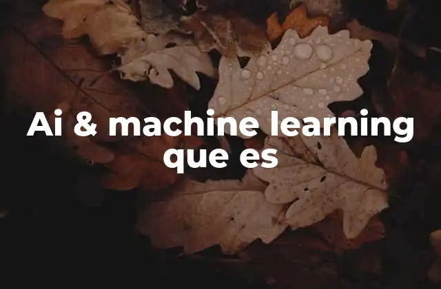 Ai & Machine Learning que es