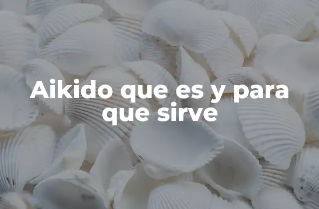 El aikido como filosofía y estilo de vida