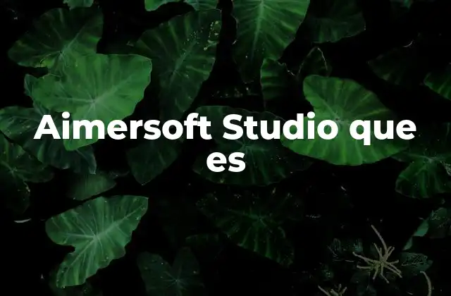 Aimersoft Studio que es
