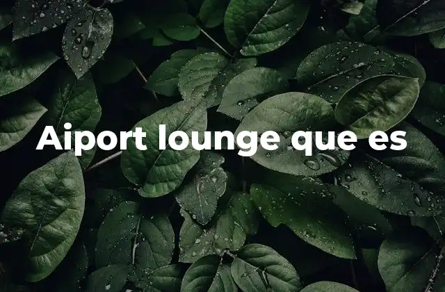Aiport Lounge que es
