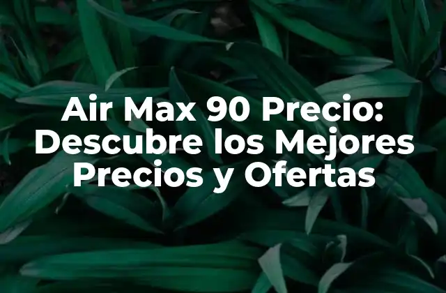 Air Max 90 Precio: Descubre los Mejores Precios y Ofertas