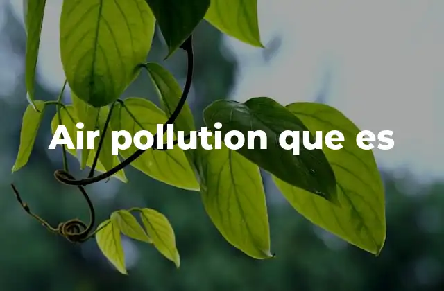 Air Pollution que es