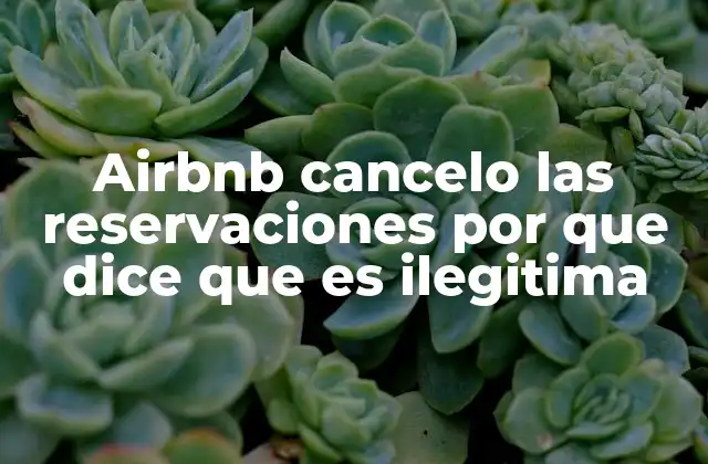 Airbnb Cancelo las Reservaciones por que Dice que es Ilegitima 2 Factores que pueden llevar a una cancelación automática en Airbnb