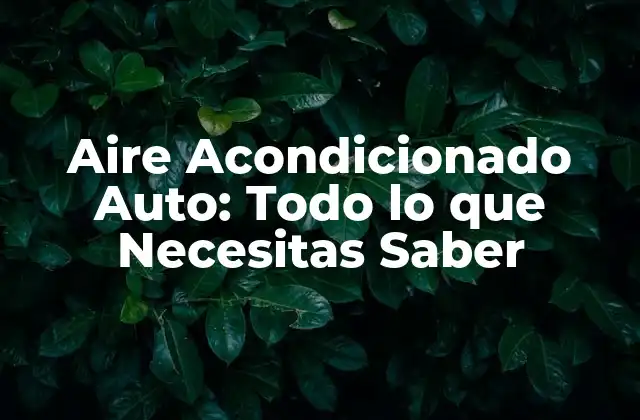 ¿Cómo Funciona el Aire Acondicionado Auto?